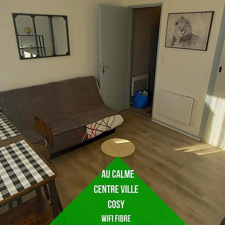 Petit Cocon Tarbais -Wifi-Parking Apartment Tarbes Bagian luar foto